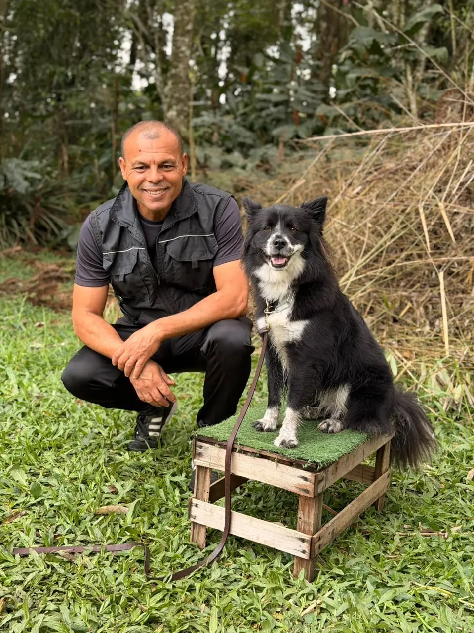 Adestramento de cão de todas as raças no Canil Von Haus Sótter