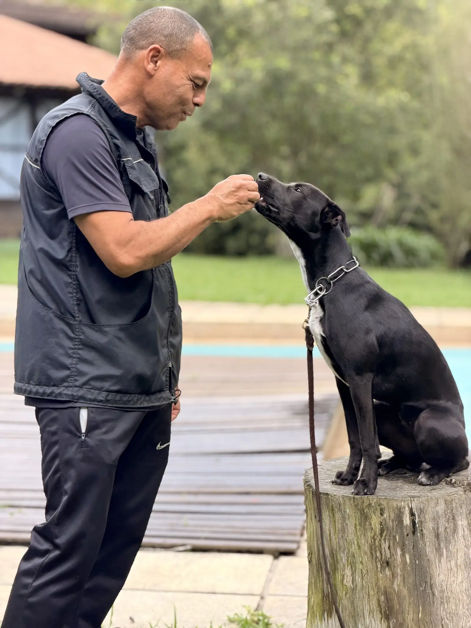 Adestrador com cão treinando sobre tronco