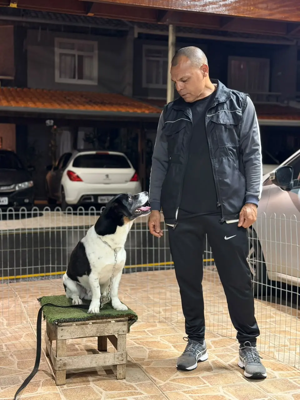 Adestramento em domicílio com cão de outra raça no Canil Von Haus Sótter