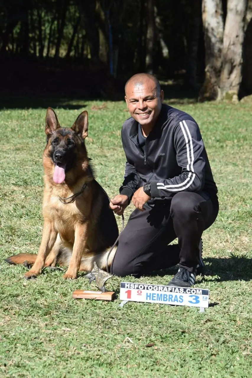 Fundador do Canil Von Haus Sótter premiado em campeonato com Pastor Alemão