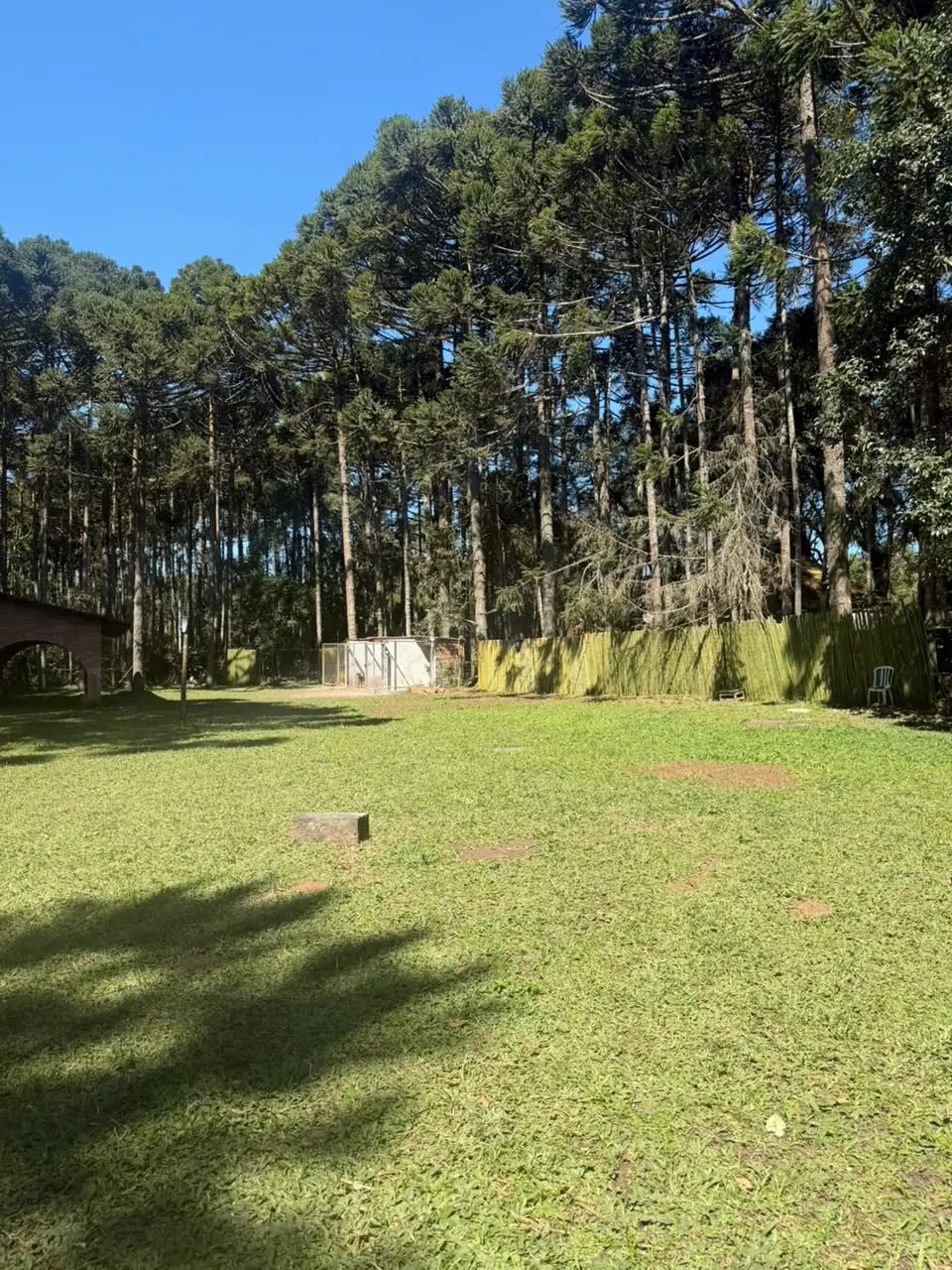 Área externa e estrutura do Canil Von Haus Sótter cercada por natureza