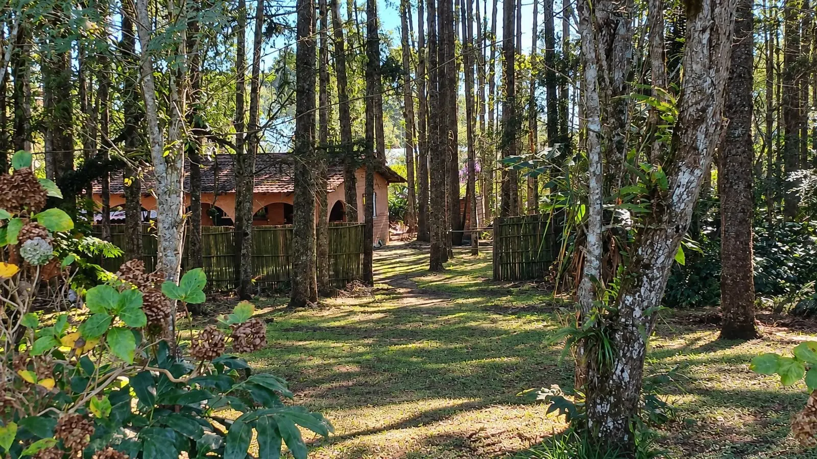 Área verde e piscina do Canil Von Haus Sótter